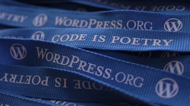 wordpress Rosario RL System Designer adaptable desarrollo web